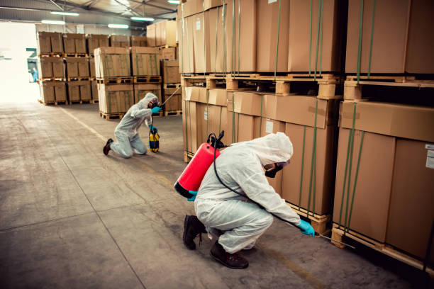 Best Pest Prevention Services  in Rothschild, WI