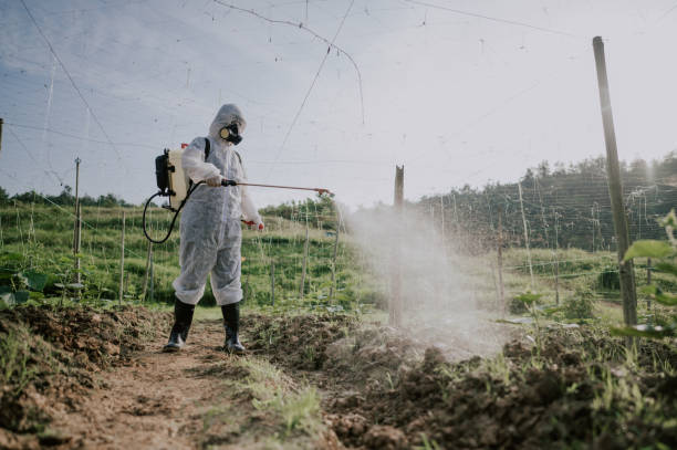 Best Mosquito Control Services  in Rothschild, WI