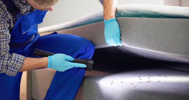 Best Best Pest Control Companies  in Rothschild, WI