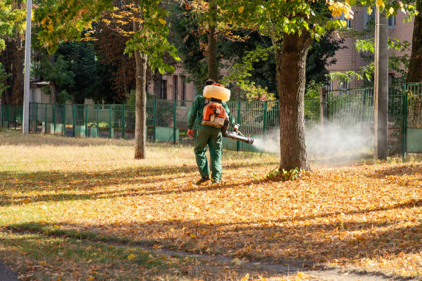 Best Cockroach Control Services  in Rothschild, WI