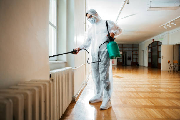 Reliable Rothschild, WI Pest Control Solutions
