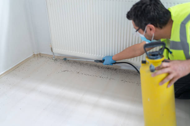 Best Exterminator Services  in Rothschild, WI