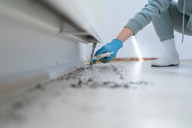 Best Exterminator Services  in Rothschild, WI